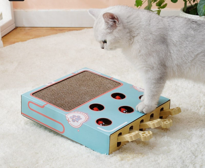 Cat Whack-a-mole Toy