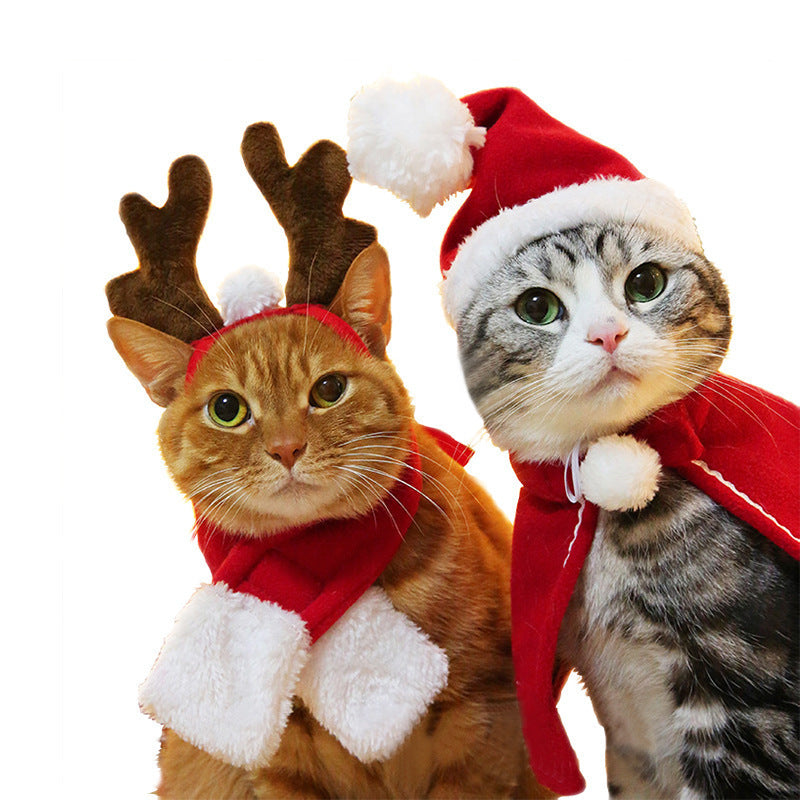 Amazon pet cat dog hat headgear scarf cloak makeover dress New Year's cloak Christmas clothes