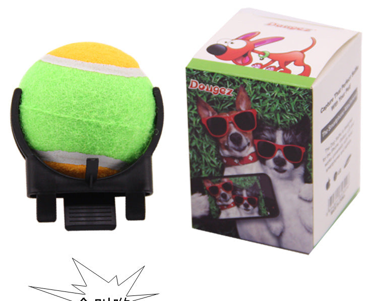 New pet products, vocal tennis, dog self-timer artifact, factory supply